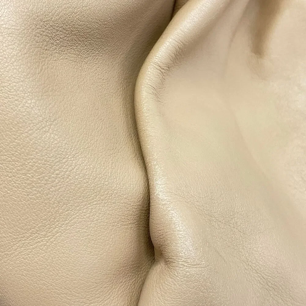 Bottega Veneta The Pouch Handbag